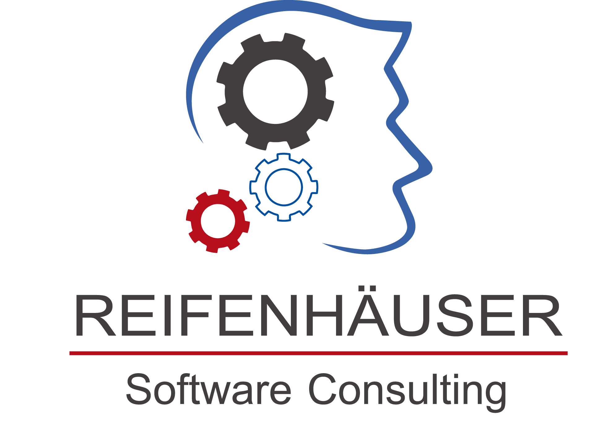 Unternehmen Reifenhäuser Software Consulting